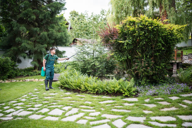 Best Exterminator Services  in Evanston, WY