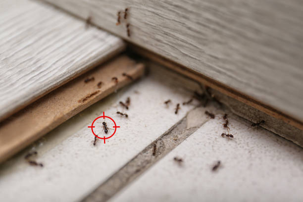 Best Cockroach Control Services  in Evanston, WY