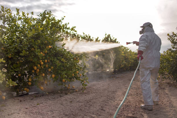 Best Wildlife Control Services  in Evanston, WY