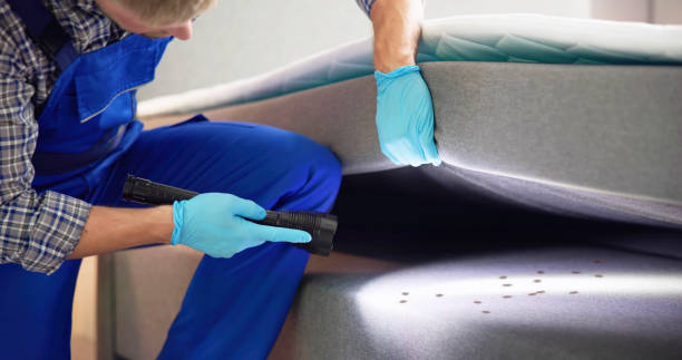 Best Local Pest Control Services  in Evanston, WY