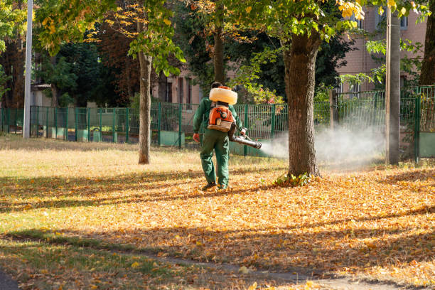 Best Mosquito Control Services  in Evanston, WY