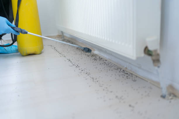 Best Emergency Pest Control  in Evanston, WY