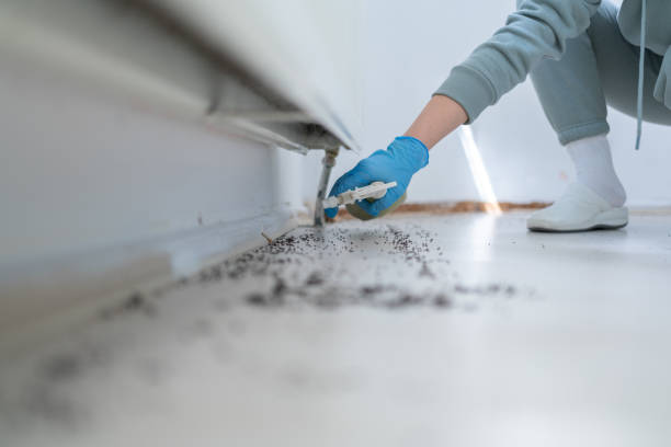Best Pest Control for Homes  in Evanston, WY